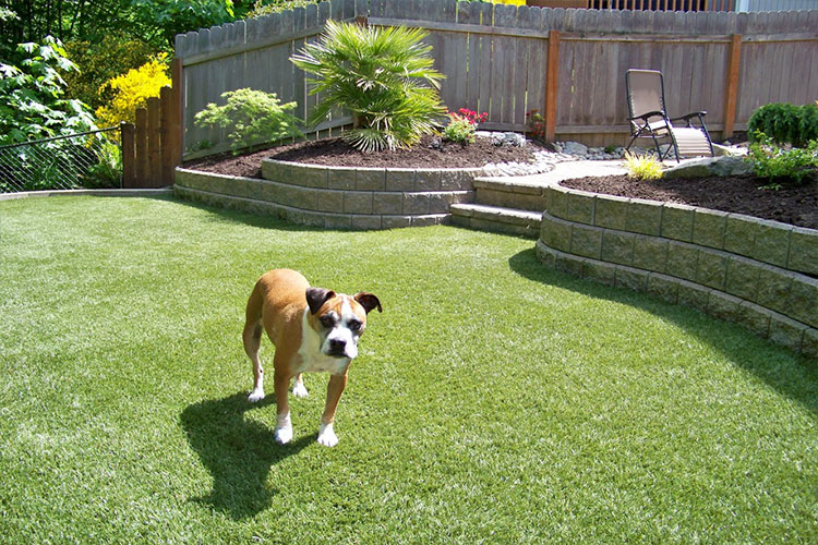 Outdoor Living Services with Hedahl Landscape, Deck & Patio